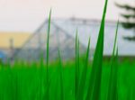 新しい知識はどんどん入れたほうが良い理由