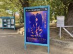 上野で開催されている特別ミイラ展にいってきました